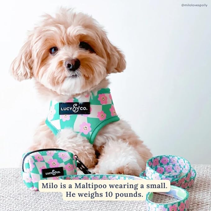 Lucy & Co. Cute Reversible Dog Harness Walking Halter - Best Designer Pet Harnesses for XS - XL Dogs - Padded Adjustable Vest for Easy Walking. (Just Chill Reversible Harness).