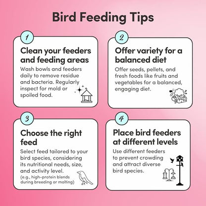 Mycelium Organic Pet Bird Superfood (5 LB Bag) | Vitamin-Enriched Bird Food for Parakeets, Finches, Canaries & Lovebirds | Daily Support for Energy, Digestion & Feather Health | Clean, USA-Grown Feed