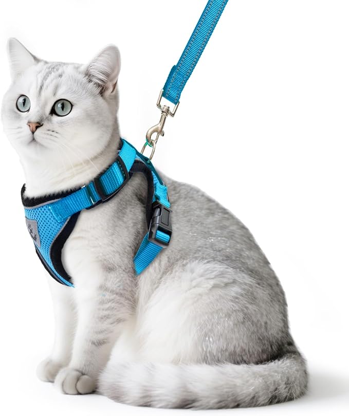 PUPTECK Cat Harness and Leash Set Escape Proof Reflective Cat Walking Harness Adjustable Soft Breathable Mesh Vest for Small Pets, Blue, M