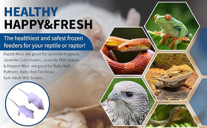 MiceDirect Frozen Mice Combo Pack 25 Fuzzies & 25 Hoppers Frozen Reptile & Snake Food (50 Count)
