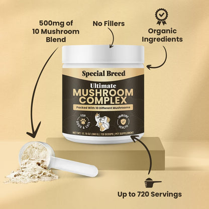 Mushroom Powder for Dogs & Cats - Organic Mushroom Complex for Immunity Support, Immune Function, Cognition, Vitality - Ten Mushroom Supplement with Turkey Tail, Lion's Mane, Reishi - 720 Scoops