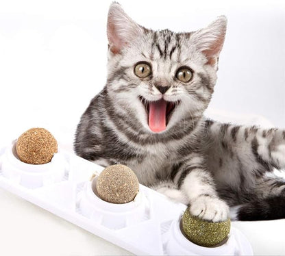 Catnip Wall Ball Toys – Rotatable Cat Snack Edible Balls with Natural Healthy Catnip | Silvervine | Gall Nut, Kitten Playing Chewing Cleaning Teeth Toy