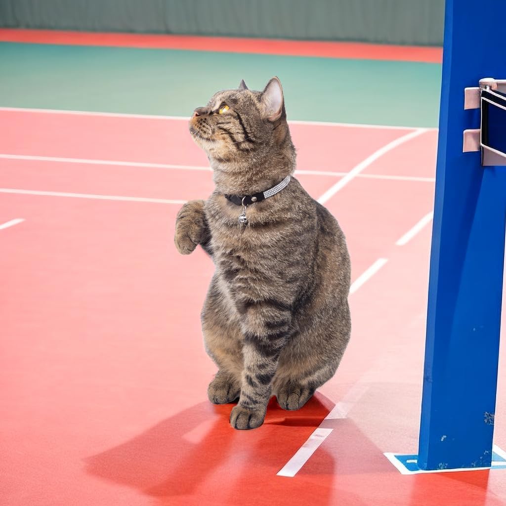 Rhinestone Cat Collar Breakaway Safety Buckle with Bell, Adjustable Diamond Girl Boy Kitty Cute Comfy Collar for Kitten Small Pets Rabbits, 7.5"-11" Sky Blue