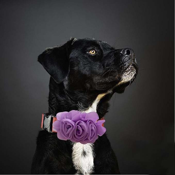 6 PCS Dog Collar Flowers, Multi-Color Pet Bow Ties Flower, Sliding Pet Collar Grooming Accessories for Puppy Small Medium Large Dogs Kitten Cats Rabbits
