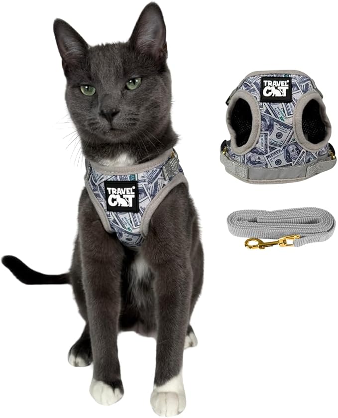 Travel Cat Harness and Leash Set - Adjustable Fit Mesh Cat Harness and Reflective Strap - Comfort Walking Vest for Kitten for Outdoor Walking, Hiking (Large, Cashcat)