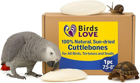 Birds LOVE 7.5" to 8" Natural Cuttlebone for Birds, Tortoises, Snails & Crabs (1 Pack) – 100% Pure Sun-Dried Cuddlebone Calcium Supplement to Support Beak & Shell Health