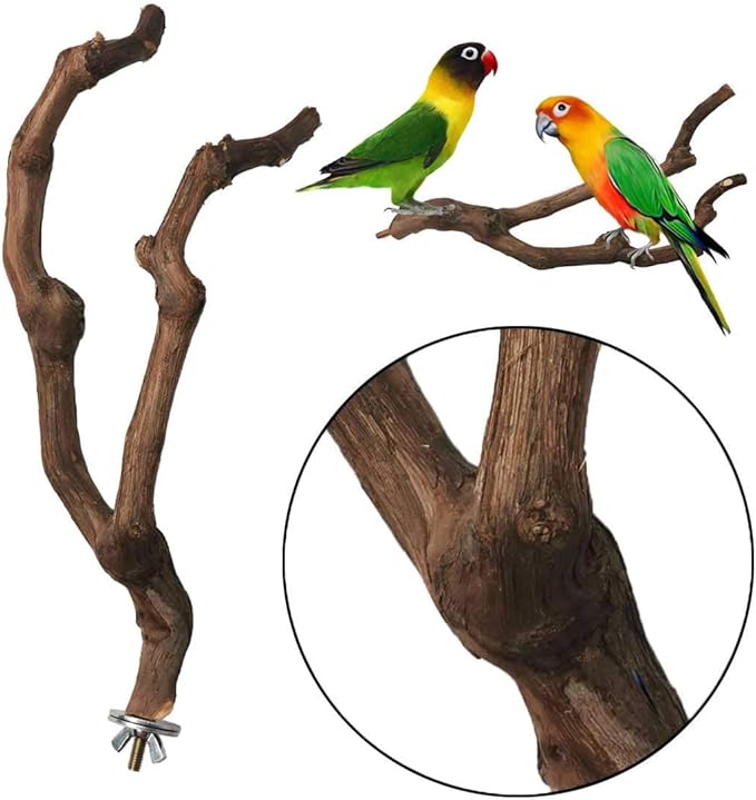 kathson Natural Parrot Perch Bird Stand Pole Wild Grape Stick Paw Grinding Fork Parakeet Climbing Standing Branches Toy Chewable Cage Accessories for Small Budgies Cockatiels Lovebirds 3PCS
