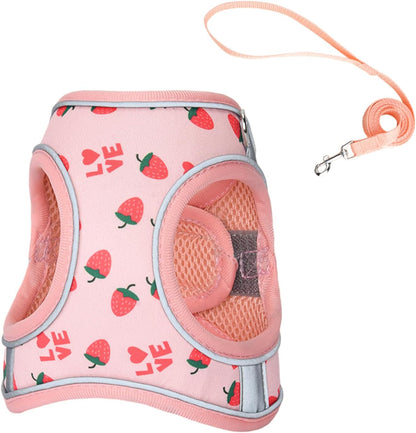 Step in Dog Harness and Leash Set, Flower Adjustable Easy Walk Puppy Harnesses, Soft Mesh No Pull Pet Vest Harness for Small Dogs and Cats(Strawberry, XXS)