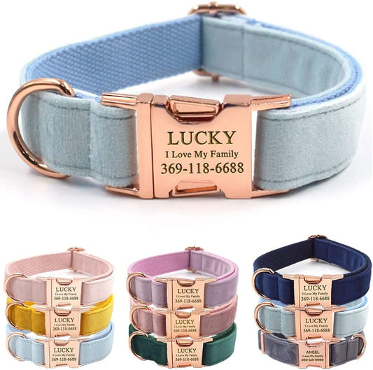 PETDURO Custom Dog Collar Personalized with Name Engraved Quick Release Rose Gold Metal Buckle for Large Medium Small Girl Dogs - Dog Leash and Bow Tie Available - Soft Comfy Velvet (Sky Blue, XL)