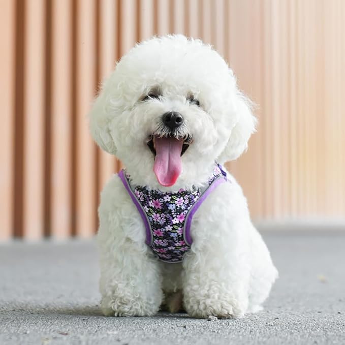 Step in Dog Harness and Leash Set, Flower Adjustable Easy Walk Puppy Harnesses, Soft Mesh Pet Vest Harness Small Size Dog Adjustable No Pull Dog Harness for Small Dogs and Cats(Purple, XXS)