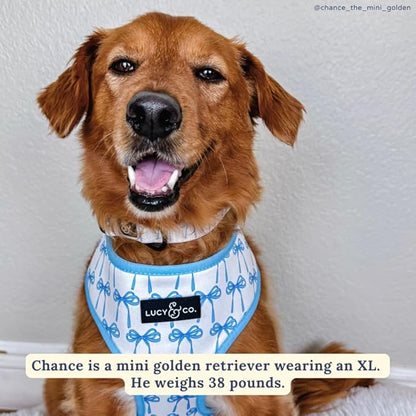 Lucy & Co. Cute Reversible Dog Harness Walking Halter - Best Designer Pet Harnesses for XS - XL Dogs - Padded Adjustable Vest for Easy Walking (Large, Purple Green Floral Checker)