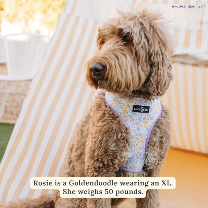 Lucy & Co. Cute Reversible Dog Harness Walking Halter - Best Designer Pet Harnesses for XS - XL Dogs - Padded Adjustable Vest for Easy Walking (Small, Among The Wildflowers - Purple Floral)