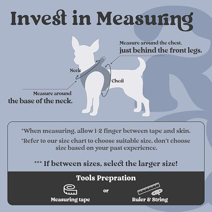 rabbitgoo Small Dog Harness, Step-in Soft Mesh Puppy Vest with Safety Buckle, Breathable Reflective Pet Harness for Large Dogs, Black XXL