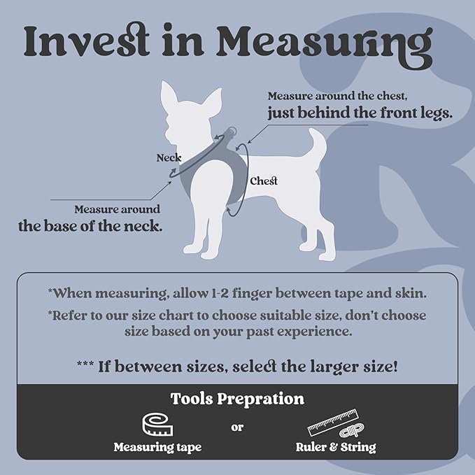 rabbitgoo Small Dog Harness, Step-in Soft Mesh Puppy Vest with Safety Buckle, Breathable Reflective Pet Harness for Small Sized Dogs, Black M