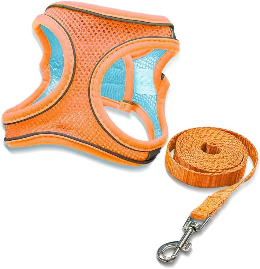 2-in-1 No Pull Dog Harness & Retractable Leash, Adjustable Dog Harness, No Pull Step-in Soft Mesh Puppy Vest Harnesses, Adjustable Puppy Vest for Small Medium Dogs and Cats