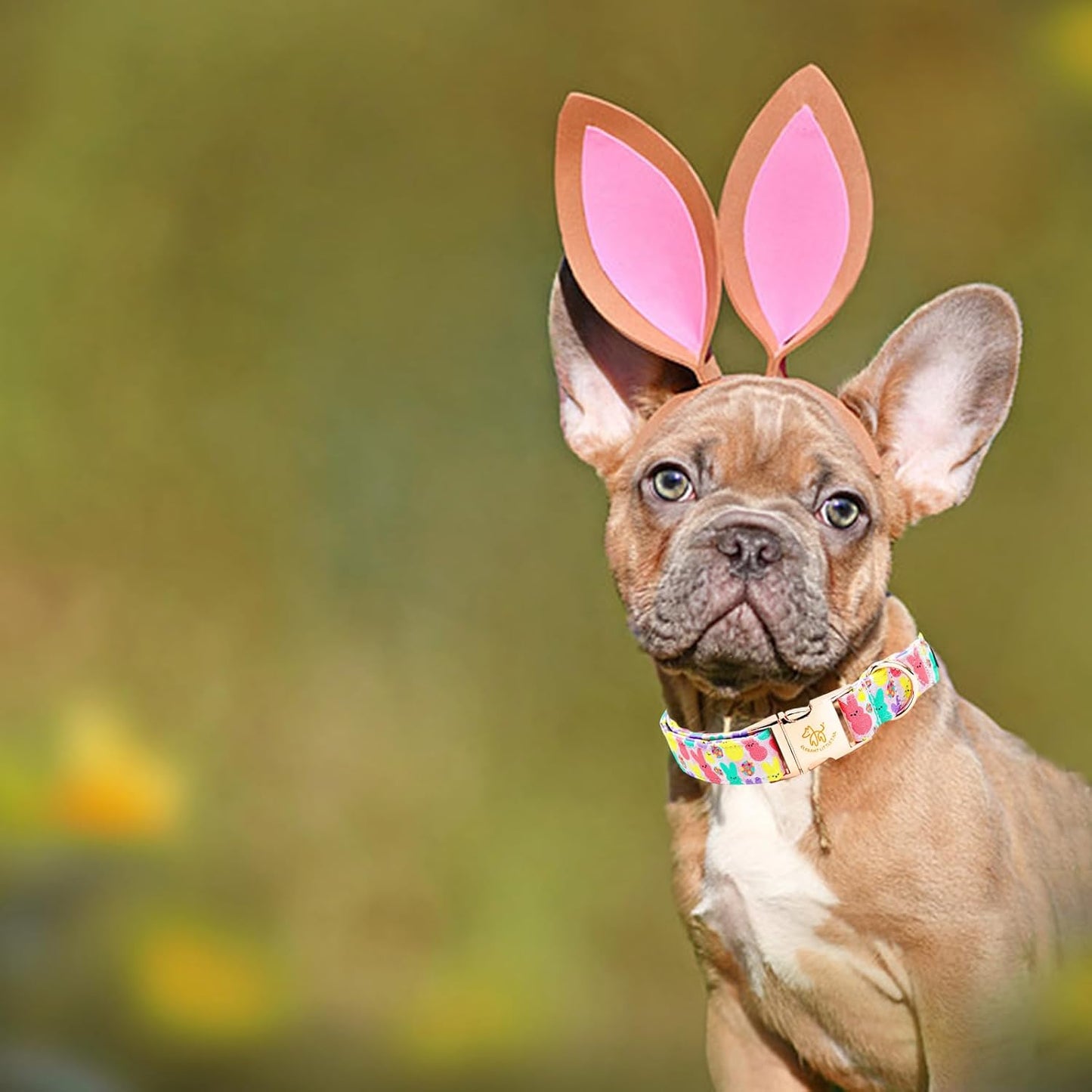 Elegant little tail Easter Dog Collar, Bunny Print Pet Collar Durable Cotton Dog Collars Girl or Boy Metal Collars Holiday Pet Gift Adjustable Dog Collar for Medium Dogs