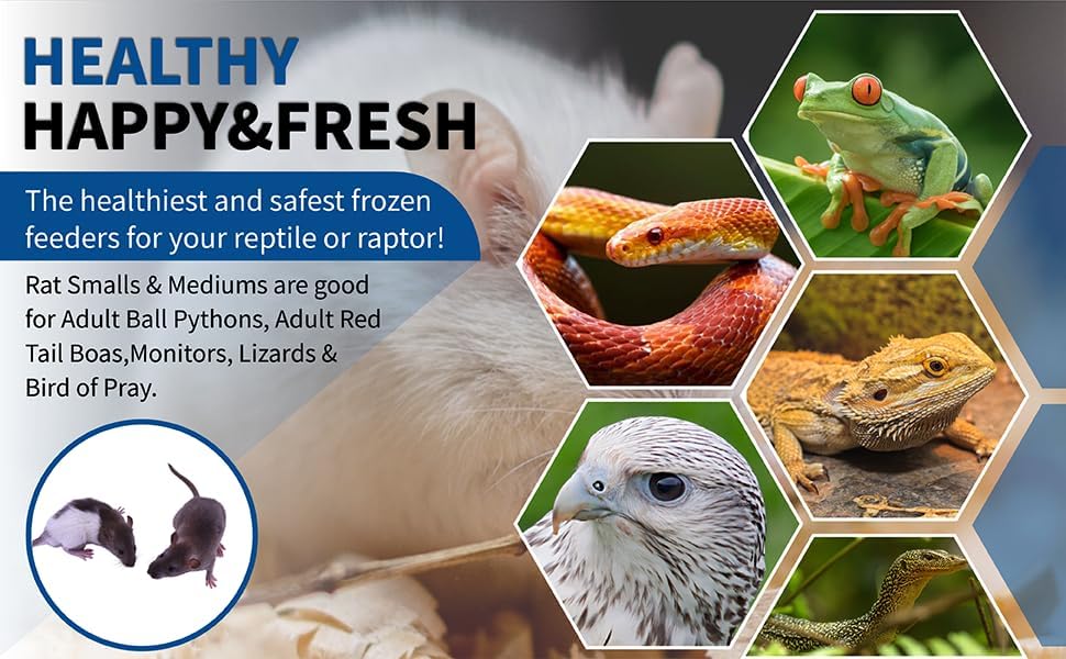 MiceDirect 14 Frozen Rat Combo Pack of Rat 7 Smalls and 7 Rat Mediums Feeders Snake Food for Ball Pythons and Reptiles (14 Count)(4.5-8 in)(910 Grams)