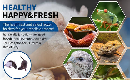 MiceDirect 14 Frozen Rat Combo Pack of Rat 7 Smalls and 7 Rat Mediums Feeders Snake Food for Ball Pythons and Reptiles (14 Count)(4.5-8 in)(910 Grams)