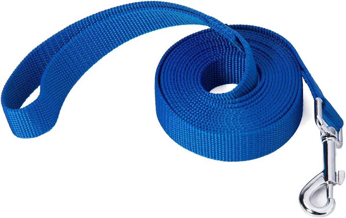 Strong Durable Nylon Dog Training Leash, 1 Inch Wide Traction Rope, 6 ft 10ft 15ft Long, for Small and Medium Dog (Blue, 10 Feet)