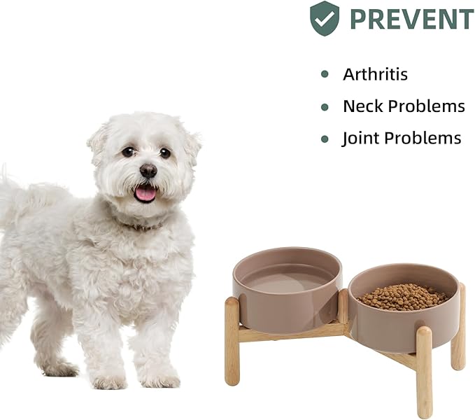 Ceramic 6.1inch Raised Dog Bowl with Stand for Small and Medium Breed Dog Dish Pet Food and Water Bowl (Double Bowl with Stand - Brown Coffee, 28oz)