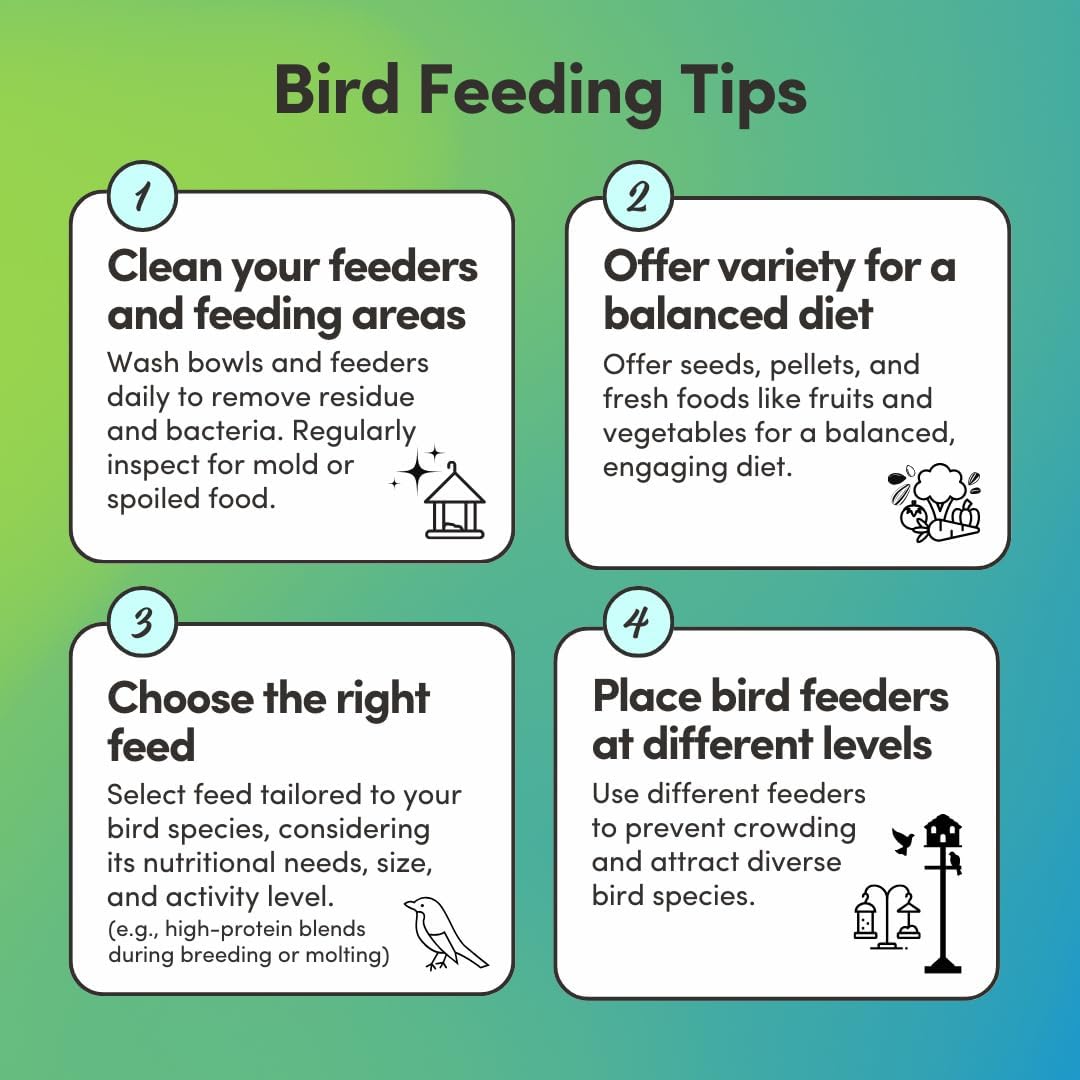 Mycelium Parakeet Cuisine Bird Food (5 LB Bag) | Organic, Nutritious Parakeet Feed with Real Fruits, Veggies & Vitamins | Supports Digestion & Daily Energy | Non-GMO, Filler-Free, Made in USA