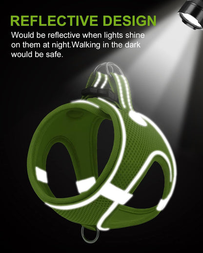 Joytale Small Dog Harness, Breathable Mesh Step-in Vest, Reflective Soft Padded Harnesses for Cats and Puppies Dogs, Green, XXXS