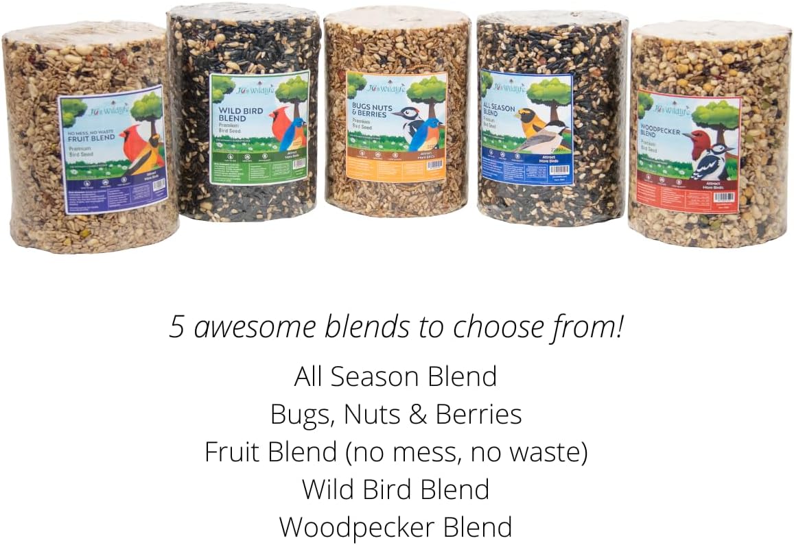 JCs Wildlife Bugs Nuts and Berries Premium Bird Seed Large Cylinder with Hole, 3.8 lb (1)
