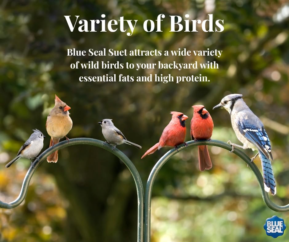 Blue Seal Peanuts & Pecans Suet Cake | Suet Cakes for Wild Birds | Melt Resistant | Year-Round Feeding | Food for Wild Birds | Made in The USA | 12 oz Suet Cakes (12 Pack)