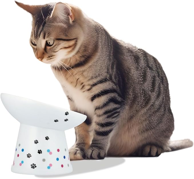 Necoichi Raised Cat Food Bowl – Ceramic Elevated 15° Tilted Cat Bowl for Whisker & Neck Fatigue Dishwasher Microwave Safe – Non-Slip Anti Vomiting Ergonomic Design (Colorful Dots, Extra Wide Tilted)