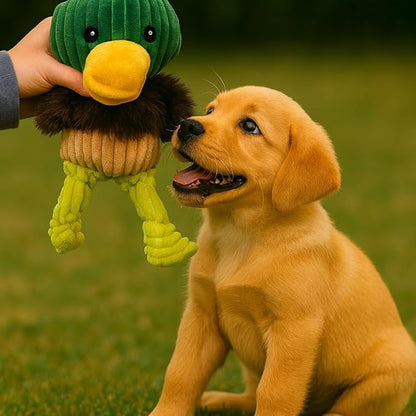 Jalousie Plush Toys Assortment Value Bundle Puppy Pet Mutt Squeak Toy for Medium Large Dogs (5 Pack Knotted)