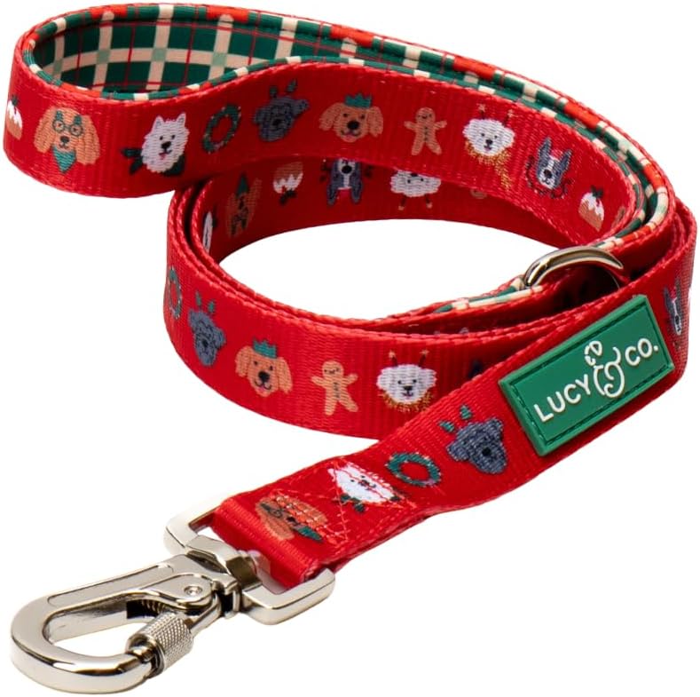 Lucy & Co. 5 Foot Designer Dog Leash for Small, Medium or Big Dogs or Puppies Puppy – Pet Accessories & Supplies- Happy Howlidays - Large