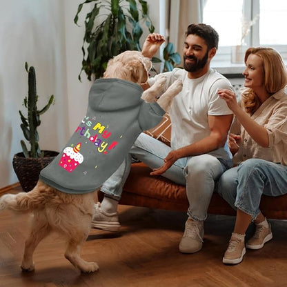 GreenJoy Dog Sweater Dog Hoodie Cold Weather Coat Hooded Sweatshirt for Puppies,Cats, Small Medium Large Dogs (Grey(It's My Birthday), Small)