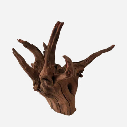 LYPHARD AQUARIUMS Natural Driftwood for Aquarium Decor, L16.14×W14.57×H12.99 Inches Large Drift Wood Decorations for Reptile Hide, Fish Tank, Optional Shapes