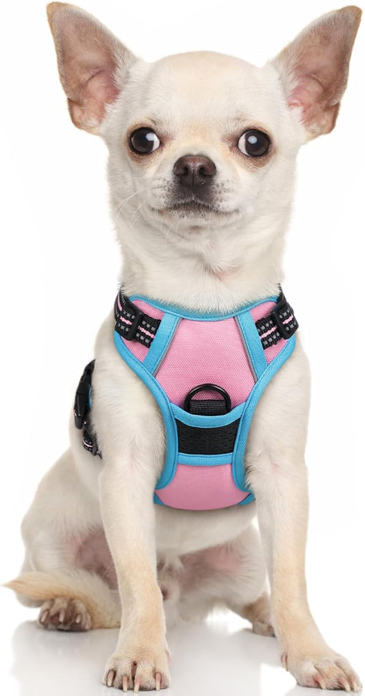 rabbitgoo Dog Harness No Pull with 2 Leash Clips, Adjustable Soft Padded, Reflective Oxford No Choke Pet Vest with Easy Control Handle for Puppy, Pink & Blue, XS