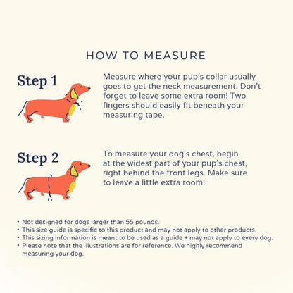 Lucy & Co. Cute Reversible Dog Harness Walking Halter - Best Designer Pet Harnesses for XS - XL Dogs - Padded Adjustable Vest for Easy Walking. (Howdy, Honey Reversible Harness).