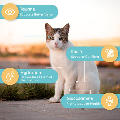 Petralyte Cat Hydration Electrolyte and Cat Joint Supplement | Hydration Support for Cats w/Glucosamine, Chondroitin, L-Glutamine, Taurine, Lysine & Prebiotics | for Chicken Lovers | 16 Packets