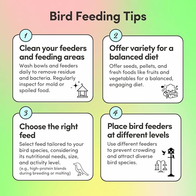 Mycelium Organic Small Parrot Plus Bird Seed (5 LBS) | Premium Food for Small Pet Birds | High-Protein, Vitamin-Fortified Daily Nutrition | Supports Brain & Heart Health | USA Made, Non-GMO