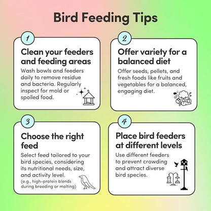 Mycelium Organic Small Parrot Plus Bird Seed (5 LBS) | Premium Food for Small Pet Birds | High-Protein, Vitamin-Fortified Daily Nutrition | Supports Brain & Heart Health | USA Made, Non-GMO