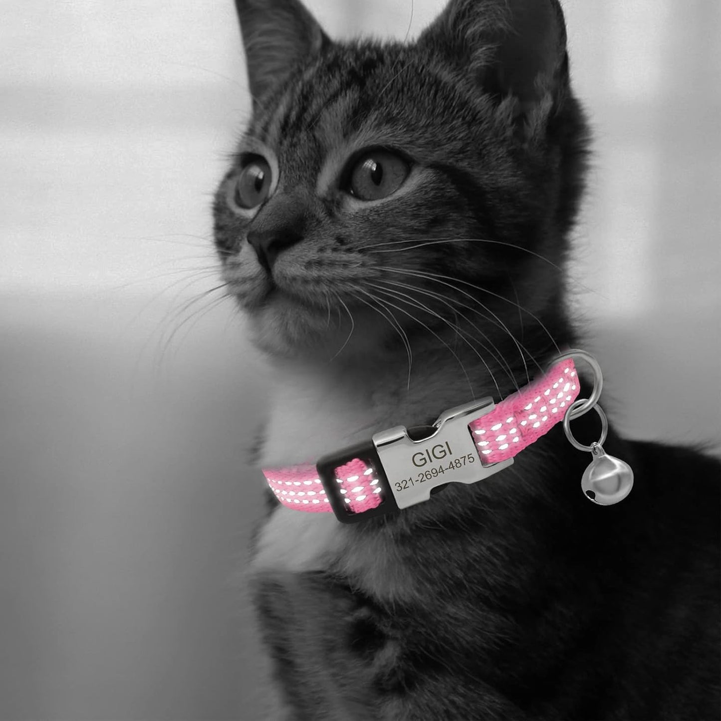 Personalized Reflective Nylon Cat Collar with Name Phone,Custom Engraved Buckle Cat Collar with Bell,Adjustable for Small Dogs Puppy Kitten (Pink,fit 7.5''-12.0'')