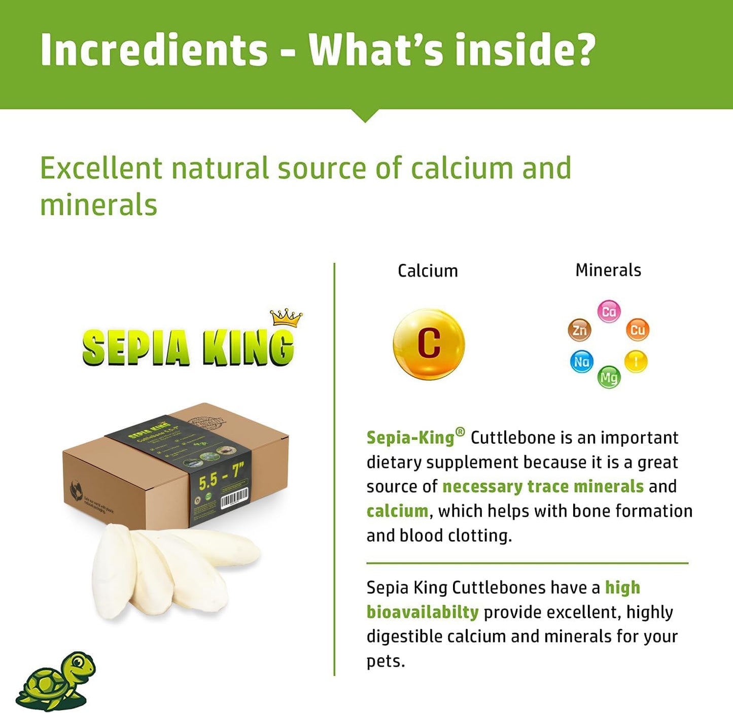 Large - 100% Natural Calcium Supplement - Premium Cuttlebone perfect for Birds, Tortoises, Snails, Reptiles - 5.5 to 7 inch