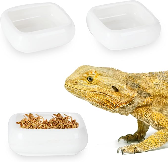 Reptile Food Bowls Ceramic Square Reptile Water Food Dish, Pet Food Bowl for Lizards, Young Bearded Dragons, Small Snakes, Gecko Tortoise Spider (White, Medium-2Pack)
