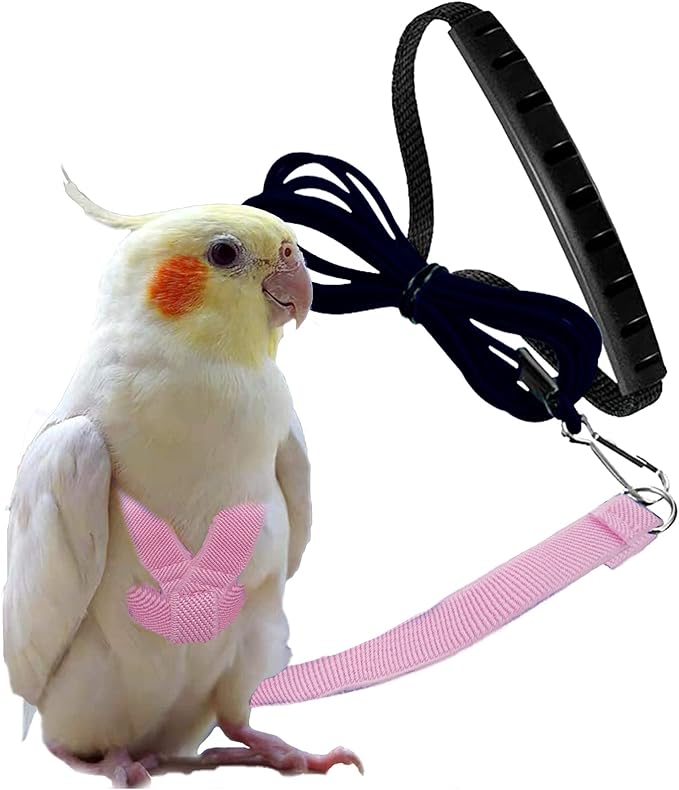 Dnoifne Parrot Harness and Leash, Adjustable Training Design Anti-Bite, Nylon Rope with Cute Wing for Parrots, Suitable for Alexandrine, Scarlet, Keck, Mini Macaw & Same Size Bird (pink)