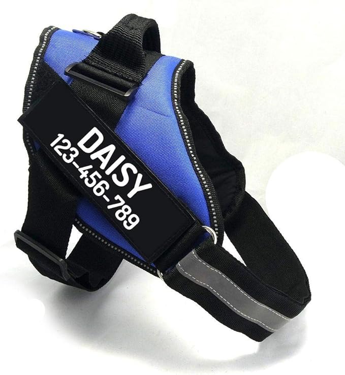 PawPawify Custom No Pull Dog Harness with Name and Phone Number, Heavy Duty Personalized Pet Vest to Prevent Tugging, Pulling, or Choking, Training and Walking (Blue, XXL (85-140 LBS))