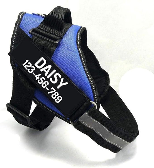 PawPawify Custom No Pull Dog Harness with Name and Phone Number, Heavy Duty Personalized Pet Vest to Prevent Tugging, Pulling, or Choking, Training and Walking (Blue, L (40-60 LBS))