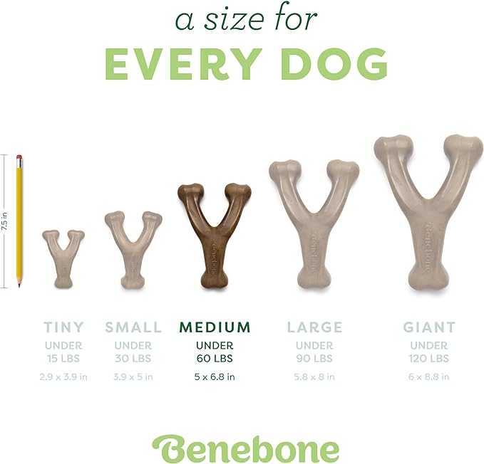 Benebone Wishbone Durable Dog Chew Toy for Aggressive Chewers, Real Bacon, Made in USA, Medium
