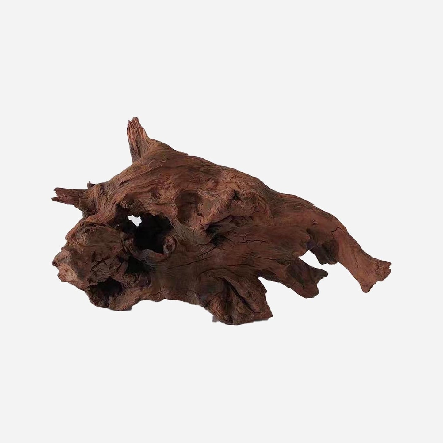 LYPHARD AQUARIUMS Natural Driftwood for Aquarium Decor, L15.75×W11.81×H9.84 Inches Large Drift Wood Decorations for Reptile Hide, Fish Tank, Optional Shapes