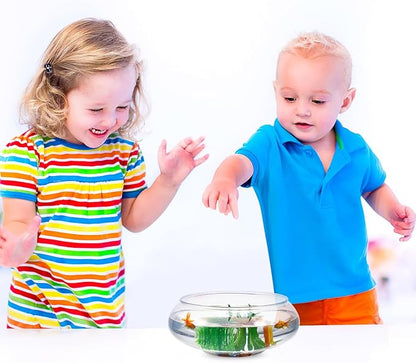 POPETPOP Clear Fish Bowl Vase - Round Plastic Shallow Planter, Hydroponic Planter Daffodil Pot, Lotus Bowl Planter, Fish Tank Aquarium Bowl