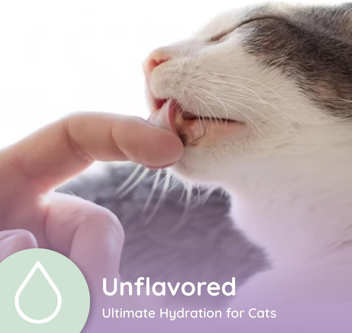 Petralyte Cat Hydration Electrolyte and Cat Joint Supplement | Hydration Support for Cats w/Glucosamine, Chondroitin, L-Glutamine, Taurine, Lysine & Prebiotics | Unflavored | 32 Packets