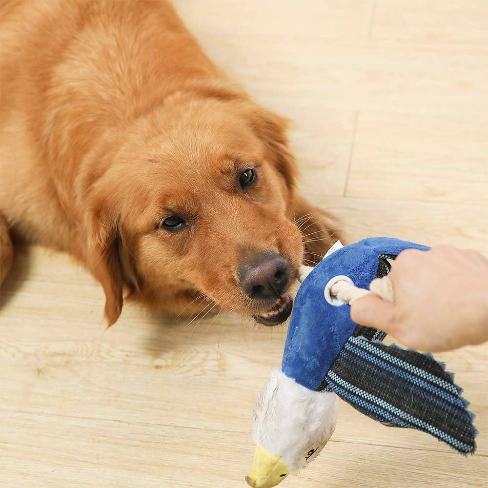 Dog Toys Set, Large Dogs Toy, Stuffed Animal Dog Chew Toy, Soft Plush Dogs Toys Pack for Small. Middle, Large Breed(3-Pack, Birds)