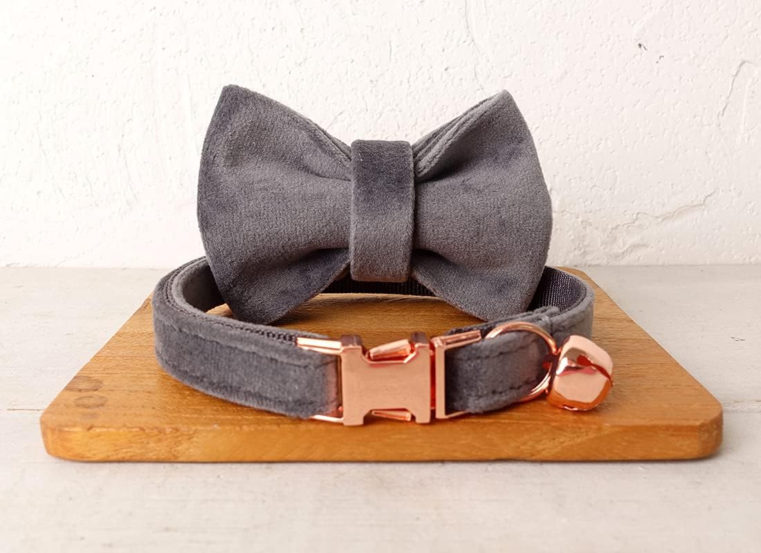 Cat Collar Personalized with Name Engraved and Bell, Customized Velvet Collars for Puppy Kittens (Grey, S)
